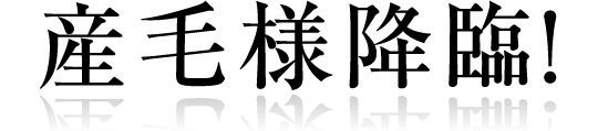 全国のハゲ・薄毛に悩む皆さんこんにちわ。