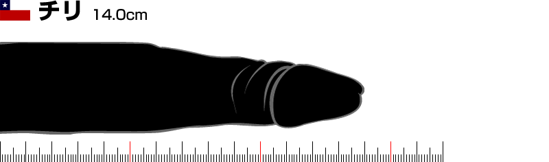 ���E���񂱃T�~�b�g