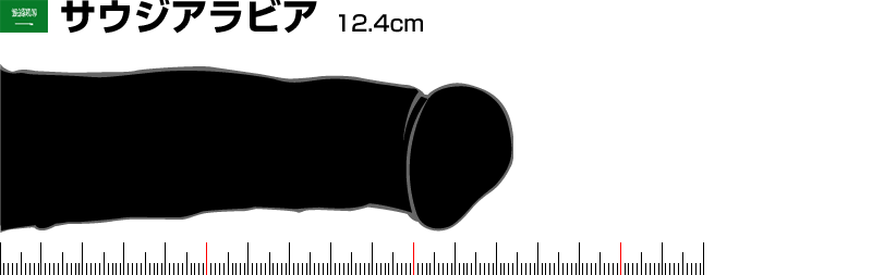 ���E���񂱃T�~�b�g