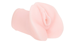 �I�i�z�[���F�ɏ�A�e���_���g