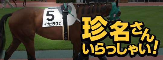 珍名さん、いらっしゃ〜い!